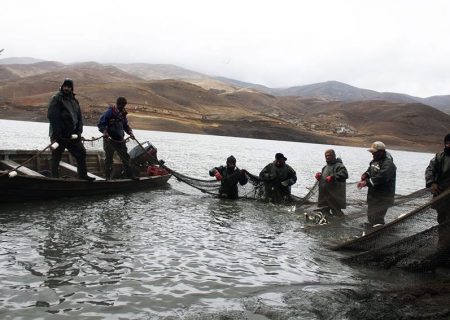 صید ماهی از منابع آبی آذربایجان شرقی آغاز شد