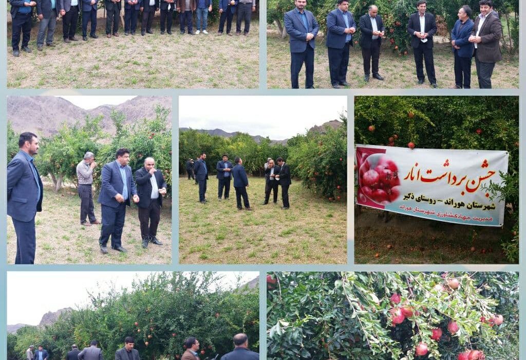 برداشت بیش از ۷۰۰۰ تن محصول انار از باغات  استان آذربایجان شرقی