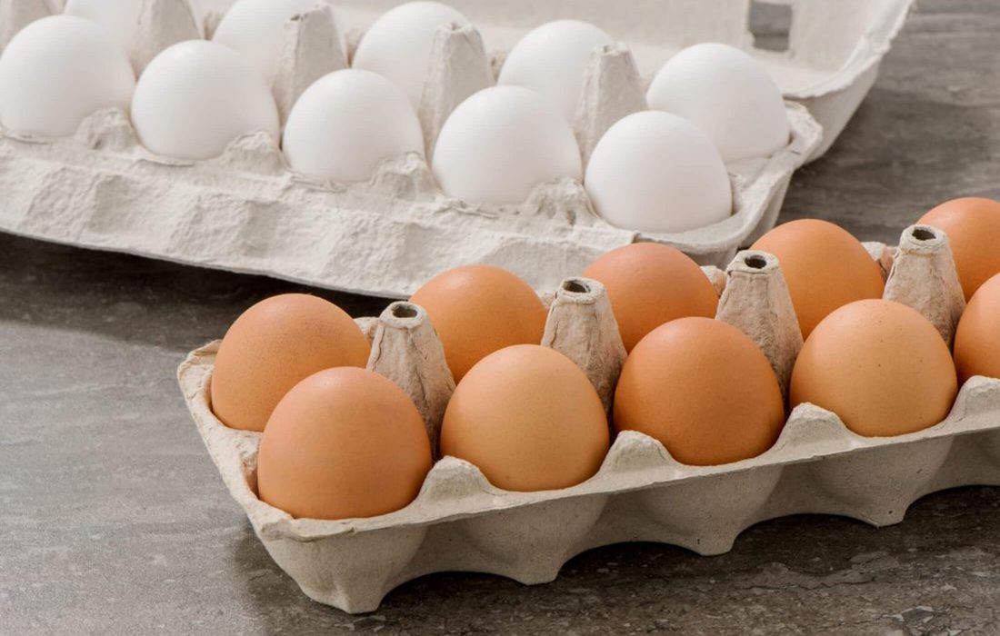 توزیع ۱۰۰۰ تن تخم‌مرغ وارداتی/نرخ مصوب هرشانه تخم مرغ ۴۳ هزار تومان