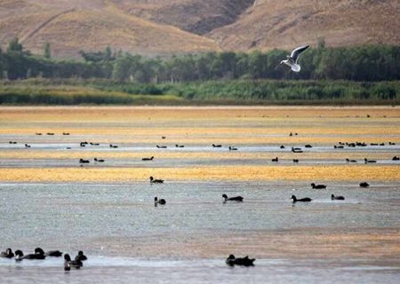 مهلت یک ماهه آب منطقه‌ای آذربایجان‌شرقی برای نقشه‌برداری خط آبرسانی قوری‌گل