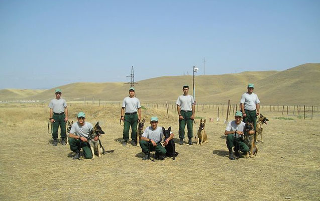 ایالات متحده ۳۰ سگ مین یاب دیگر را در اختیار آذربایجان قرار خواهد داد