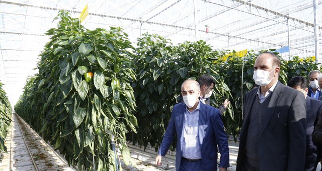 تاکید استاندار آذربایجان‌شرقی بر توسعه کشت گلخانه‌ای در منطقه آزاد ارس