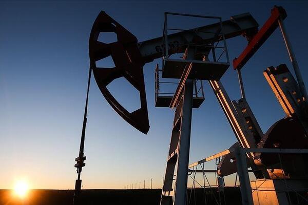 ترکیه در سالجاری ۶۰ میلیون نفت بشکه به ذخایر خود اضافه کرد