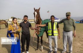 جشنواره ملی زیبایی اسب ترکمن در صوفیان گلستان