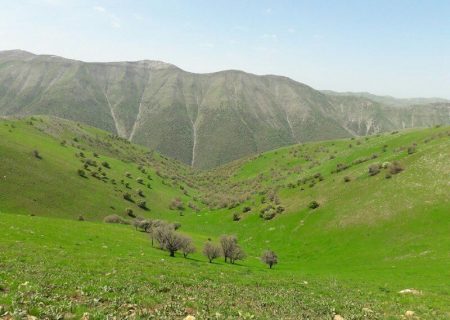 بهره‌برداری از مراتع مجوزدار به وراث منتقل می‌شود