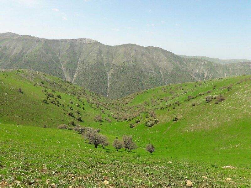 بهره‌برداری از مراتع مجوزدار به وراث منتقل می‌شود