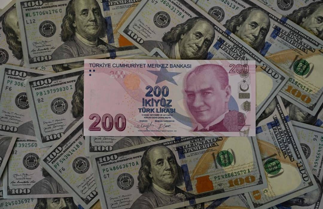 پس از اعلام اردوغان، یک میلیارد دلار ارز در ترکیه فروخته شد