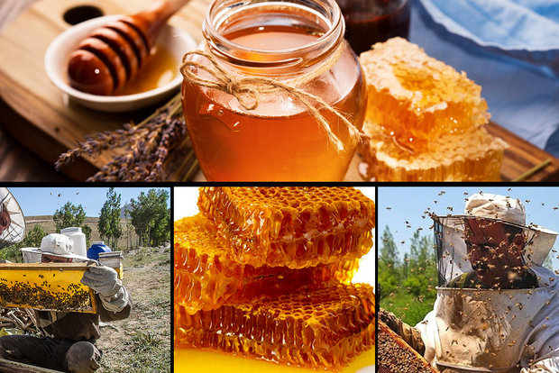 تولید بیشترین عسل آذربایجان شرقی در مراغه