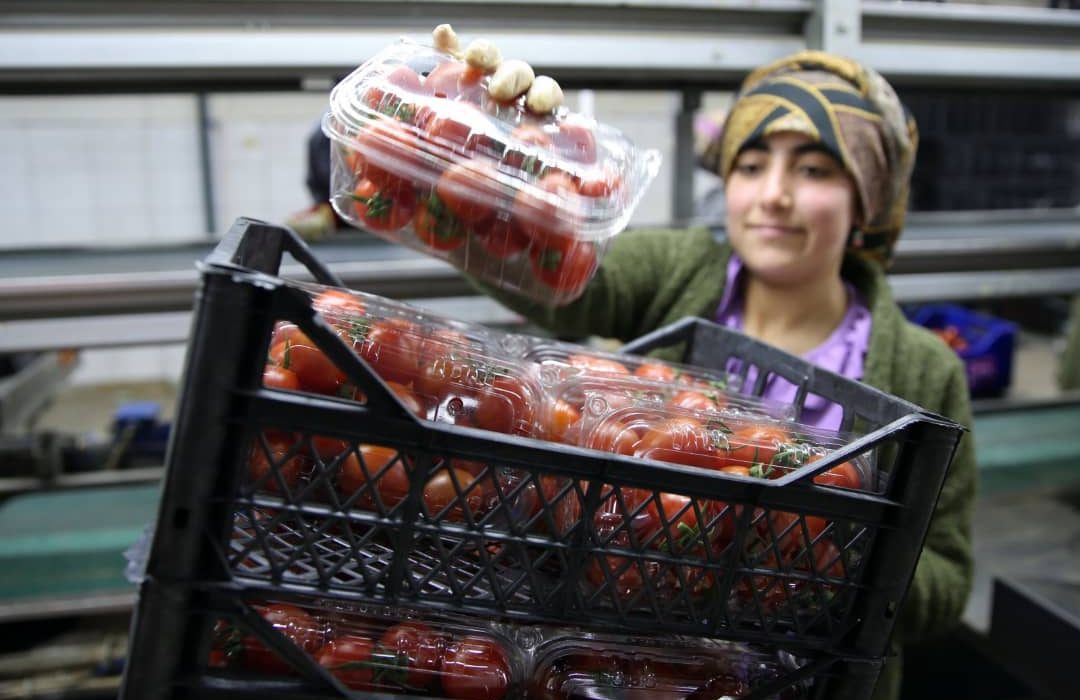 در اثر کاهش صادرات به اوکراین قیمت میوه و سبزیجات در ترکیه ۵۰ درصد کاهش یافت