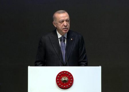 رئیس جمهور ترکیه از «بسیج دیجیتالی» خبر داد