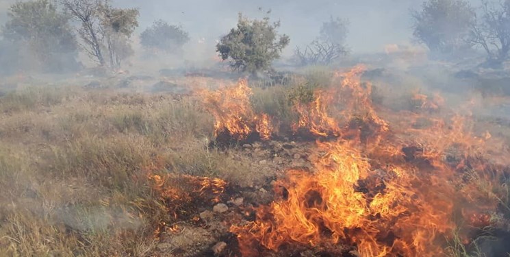 آتش سوزی مراتع زنجان ۶۳ درصد افزایش یافت