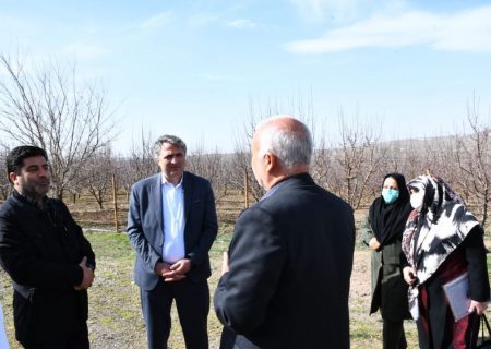 ورود شرکتهای دانش بنیان در بخش باغبانی و پرورش دام در آذربایجان شرقی
