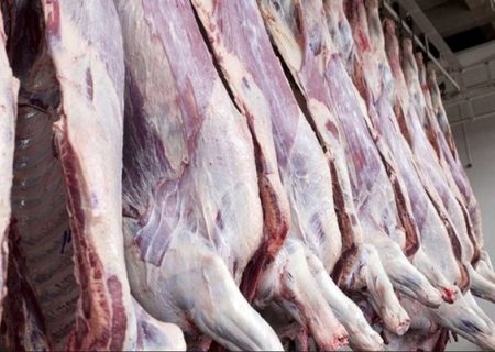 هیچ مشکلی در زمینه تولید گوشت قرمز در استان آذربایجان شرقی وجود ندارد
