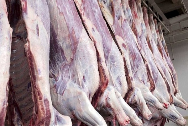 قیمت گوشت در زنجان سر به فلک کشید