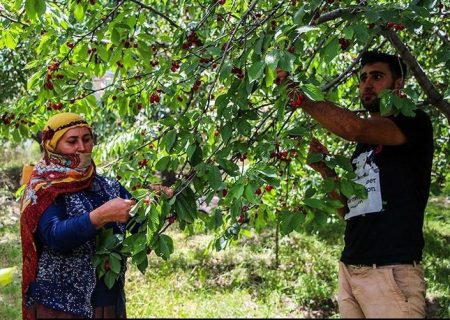 تصویب چهار طرح گردشگری‌ کشاورزی در آذربایجان شرقی