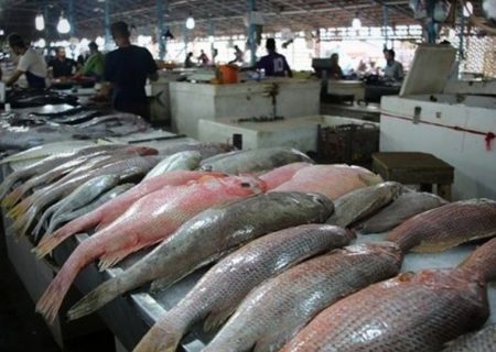 احتمال افزایش قیمت ماهی