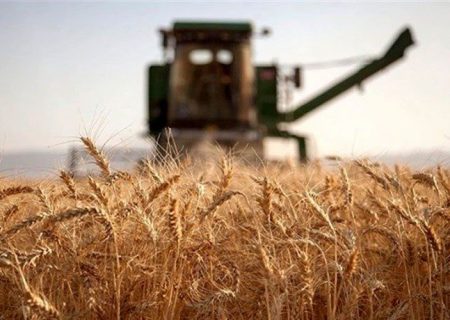 ایران در روسیه گندم تولید می‌کند!/ علت پیشنهاد «کشاورزی فراسرزمینی» چیست؟