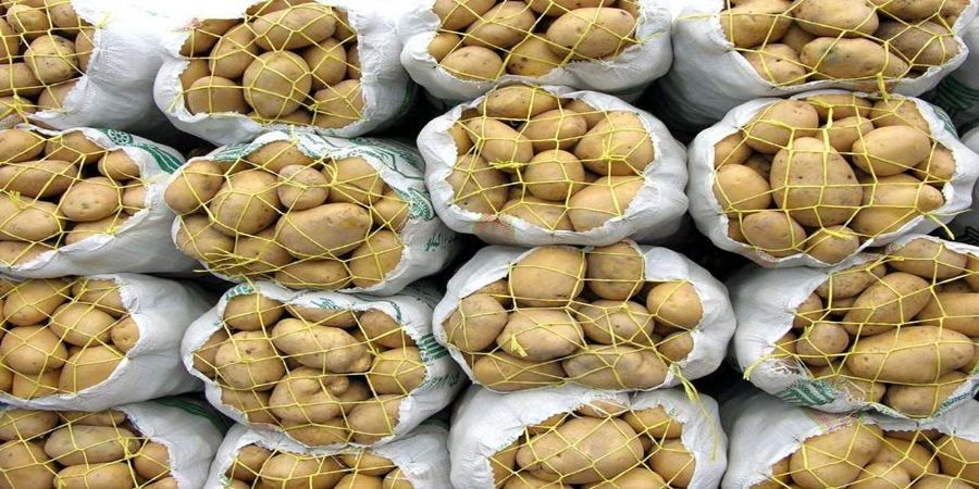 صادرات سیب‌زمینی از اردبیل به کشورهای خارجی ادامه دارد