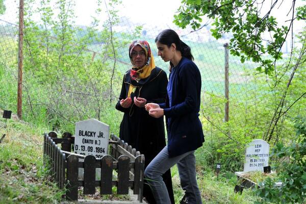 اولین گورستان حیوانات خانگی ترکیه پر از گور سگ و گربه