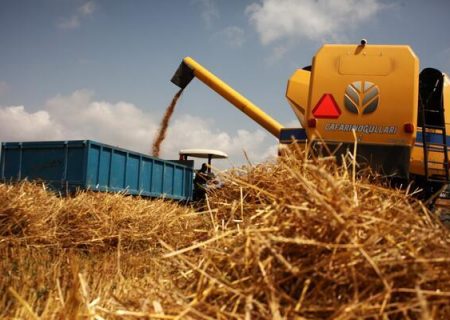 ترکیه با کمبود گندم روبرو نخواهد شد