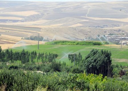۲۵ درصد تولید گندم استان در شهرستان هشترود است/ شهرستان هشترود، قطب کشاورزی آذربایجان‌شرقی