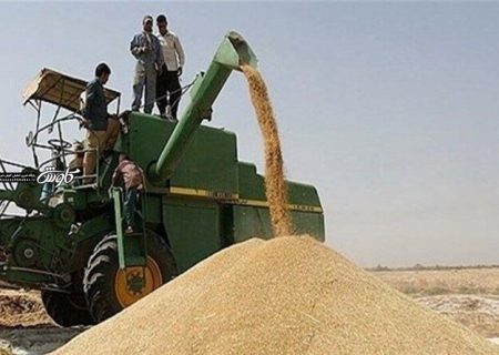 ممنوعیت نقل و انتقال گندم در اردبیل/خرید گندم در ۴۴ مرکز آغاز شد