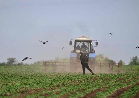 اجاره زمین های کشاورزی توسط ترکیه در کشورهای خارجی