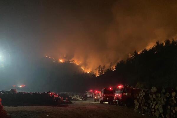 ترکیه در دومین روز آتش سوزی های جنگلی برای مهار آتش تلاش می کند