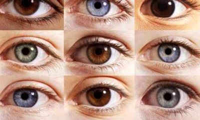 رنگ چشم ها درباره شما و اجدادتان چه می گویند؟