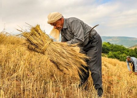 کشاورزی فرا سرزمینی راه تعامل آذربایجان شرقی با همسایگان