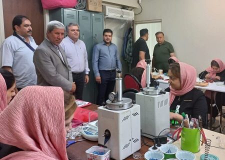 کارگاه های خرد با ظرفیت فعالیت‌های دانش بنیان در آذربایجان شرقی حمایت می‌شوند