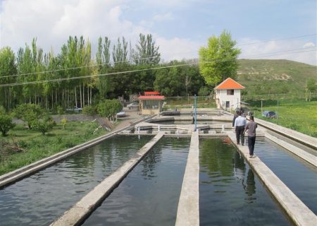 تولید بیش از ۹ هزارتن انواع آبزیان طی سال گذشته در آذربایجان شرقی