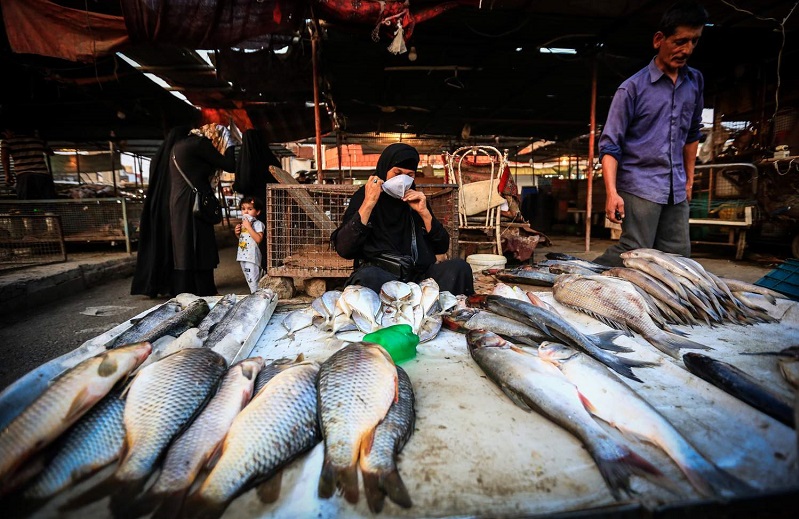 ماهی «ازون برون» کیلویی ۷۰۰ هزار تومان!/ علت افزایش قیمت ماهی چیست؟