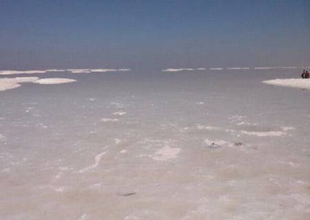 بازگشت آرام حیات به دریاچه ارومیه