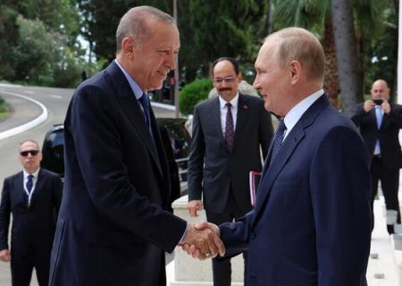 اردوغان: ترکیه و روسیه علیه گروه های تروریستی در سوریه  همکاری می کنند