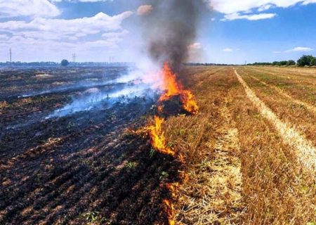 سوزاندن کاه و کلش مزارع گندم ممنوعیت قانونی دارد