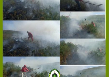 آتش سوزی مراتع مشجر و اراضی جنگلی پلاک قاشقچی از توابع شهرستان خدافرین به همت همکاران منابع طبیعی شبانه اطفا گردید