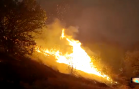 آتش سوزی جنگل های ارسباران بطور کامل مهار شد