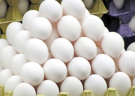 ۹.۶ درصد تخم مرغ کشور در آذربایجان شرقی تولید می‌شود