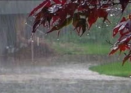 هشدار بارش باران و وزش باد/ کشاورزان قبل از شروع بارندگی اقدام به عملیات کشت پاییزه کنند