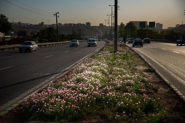 تسریع آماده‌سازی طرح مطالعه بدنه سازی ورودی شرق تبریز