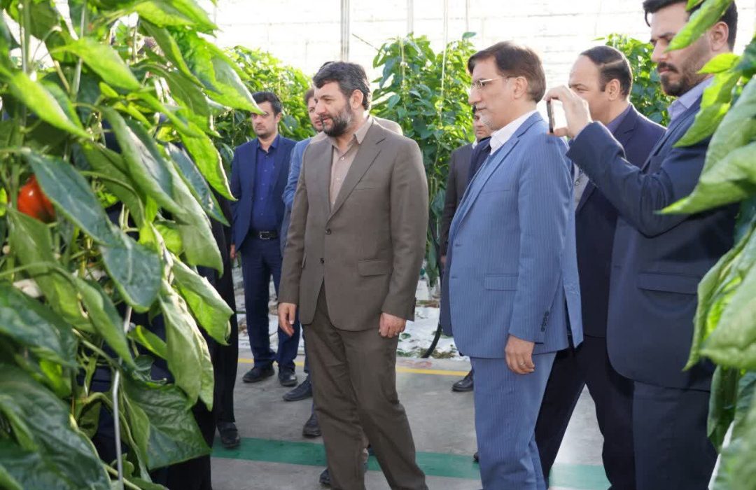 بازدید مشاور رئیس جمهور از بزرگترین مجتمع گلخانه ای خاورمیانه در جلفا