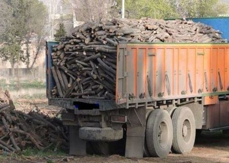 توقیف ۱۷ تن بار قاچاق چوب در تبریز/ با متخلفان مماشات نمی‌کنیم