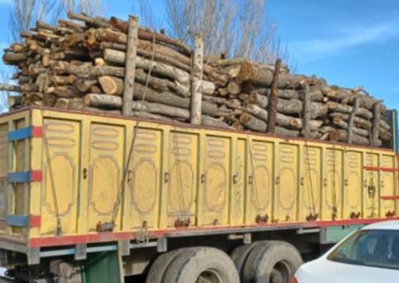 کشف ۲۰ کامیون حامل چوب قاچاق در آذربایجان شرقی/ کاهش ۹۵ درصدی قطع درخت در استان