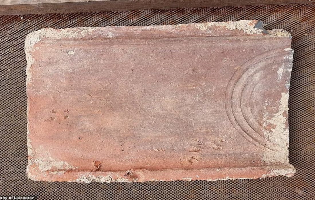 کشف یک حمام لاکچری متعلق به رومیان باستان در انگلیس + تصاویر