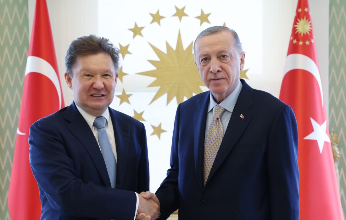 اردوغان و رئیس گازپروم در مورد پروژه هاب گاز ترکیه گفتگو کردند