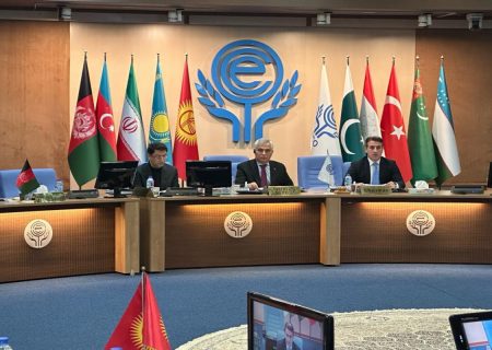 نشست سازمان همکاری اقتصادی اکو به ریاست جمهوری آذربایجان در تهران برگزار شد