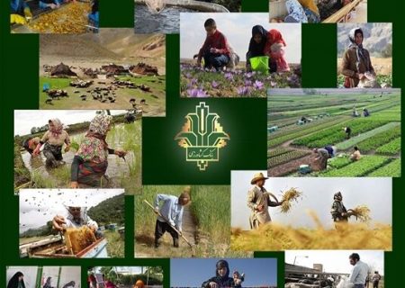 تسهیلات پرداختی بانک کشاورزی در آذربایجان شرقی ۷۱ درصد افزایش یافت