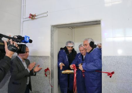 افتتاح کشتارگاه صنعتی مرغ در بستان آباد