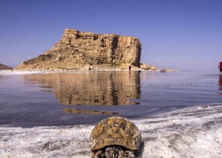 تونل انتقال آب به دریاچه ارومیه تا پایان سال به بهره برداری می‌رسد